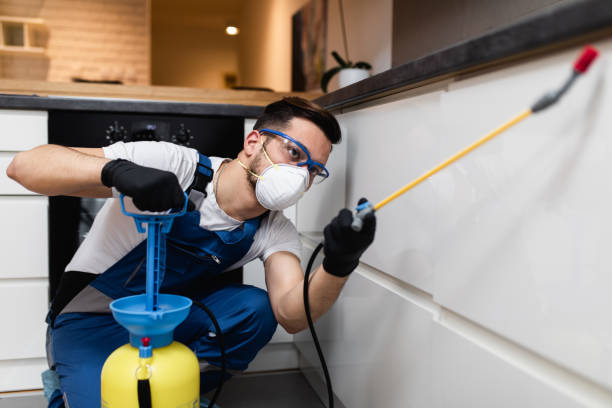 Best Best Pest Control Companies  in Pauls Valley, OK