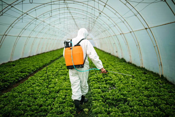 Best Best Pest Control Companies  in Pauls Valley, OK