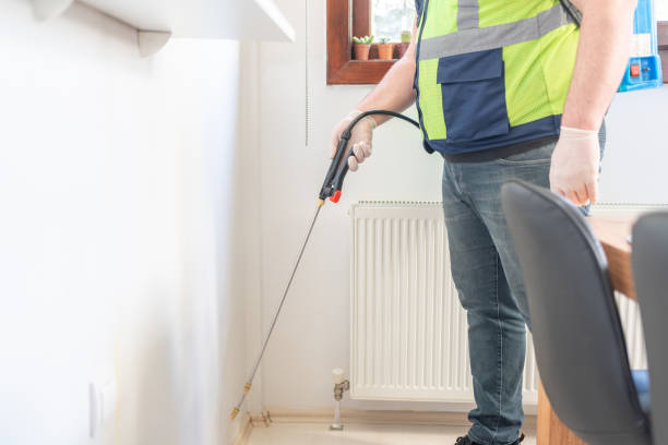 Best Wasp Removal Services  in Pauls Valley, OK
