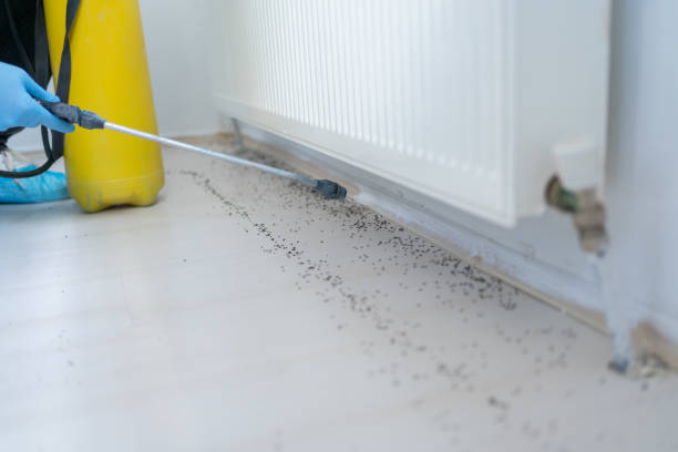Best Best Pest Control Near Me  in Pauls Valley, OK